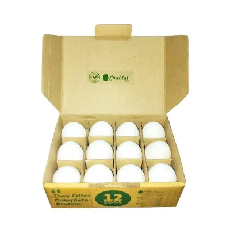 Chicken Eggs Layer (White)